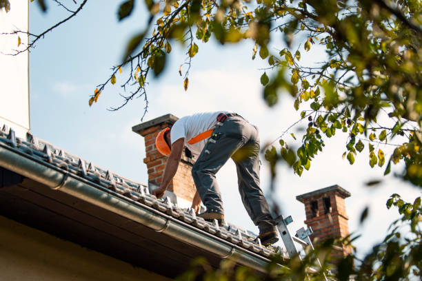 Best Roof Gutter Cleaning  in Miller, SD