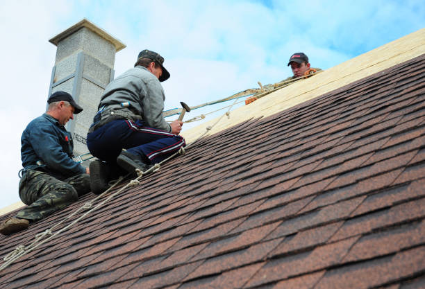 Best Local Roofing Companies  in Miller, SD