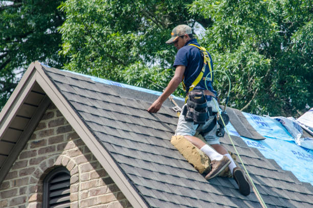 Best Shingle Roofing Installation  in Miller, SD